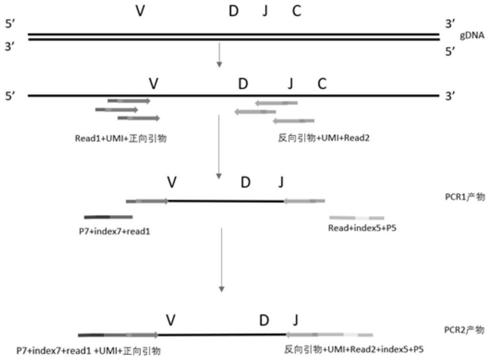 A kit for detecting minimal residual disease mrd