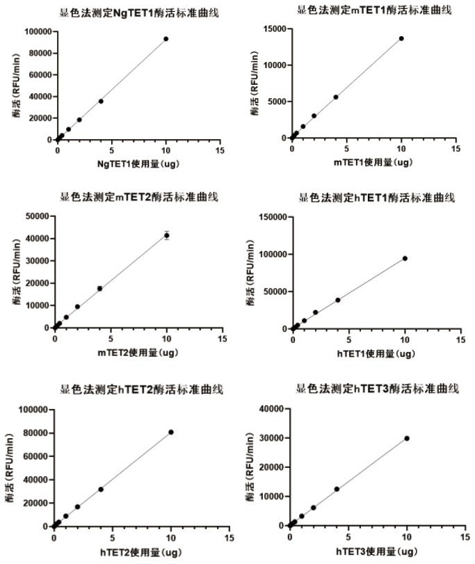 TET enzyme activity determination method and high-throughput screening method of TET enzyme activity micromolecule activator or inhibitor