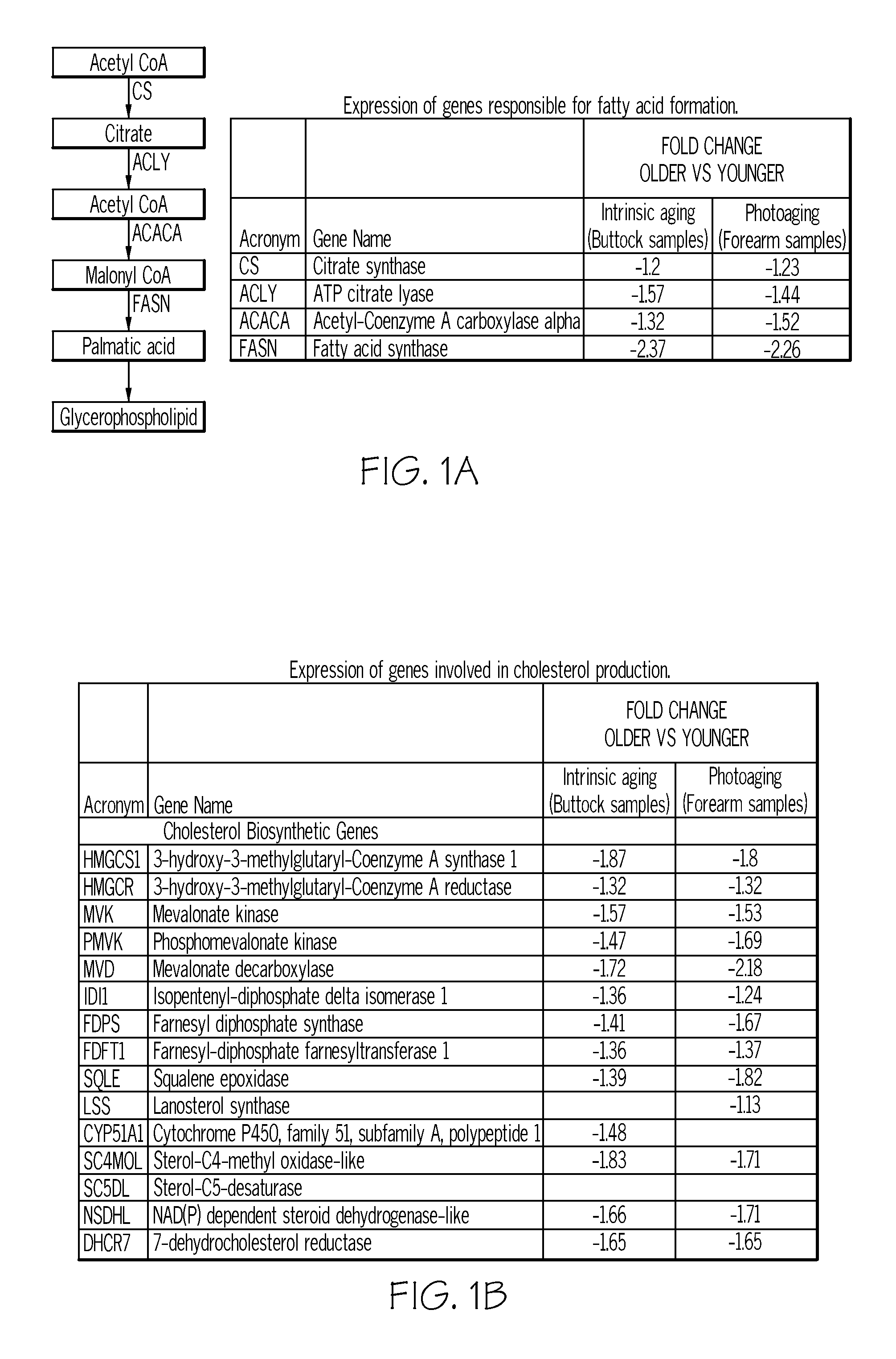 Cosmetic Compositions and Methods for Maintaining and Improving Barrier Function of the Stratum Corneum and to Reduce the Visible Signs of Aging in Skin