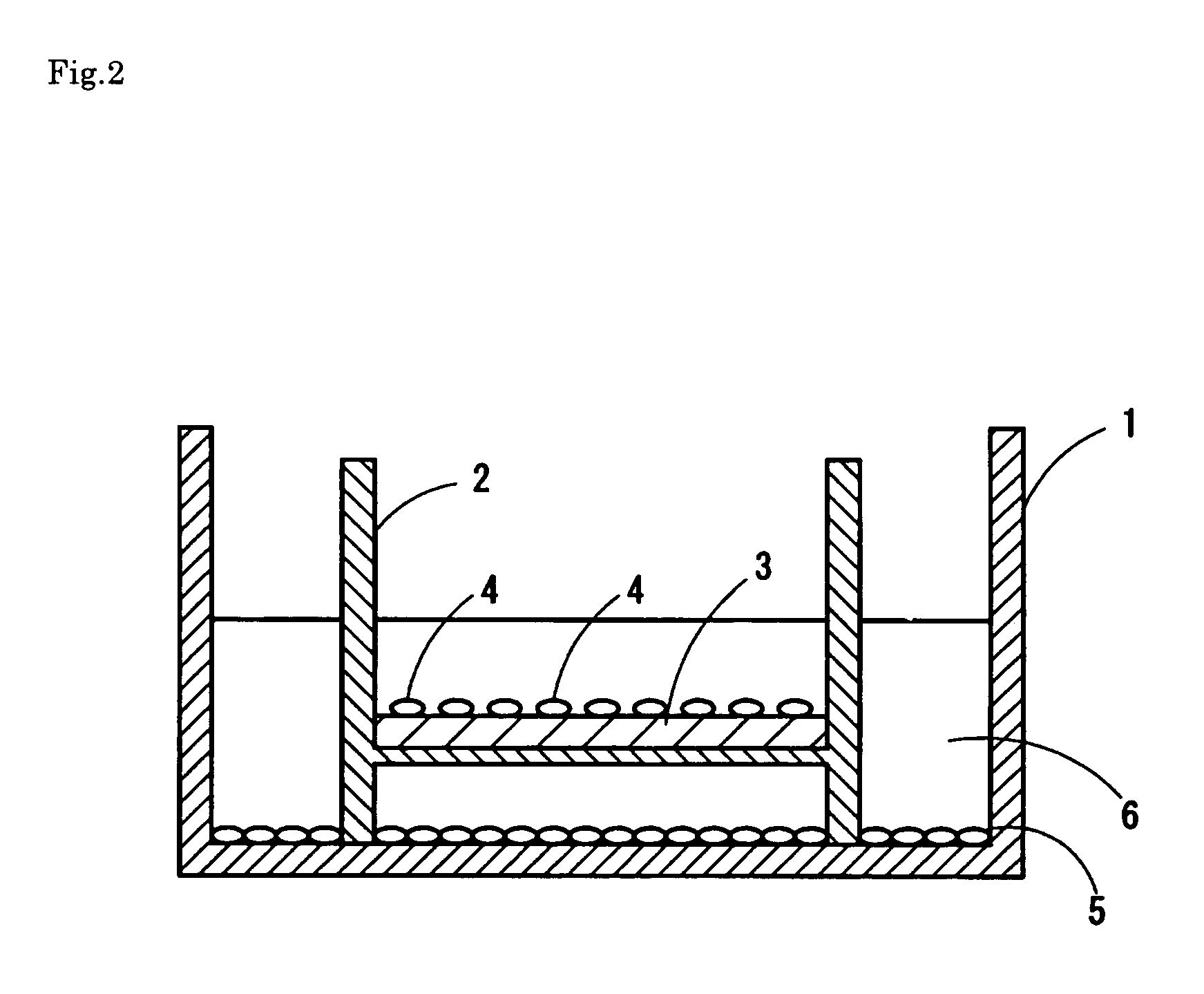 Ectocornea-like sheet and method of constructing the same