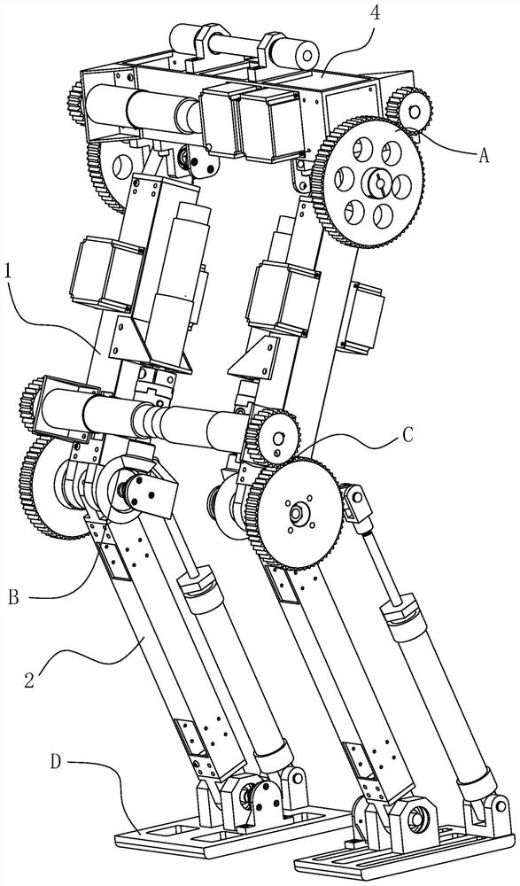 Biped robot with variable-rigidity ankle joints