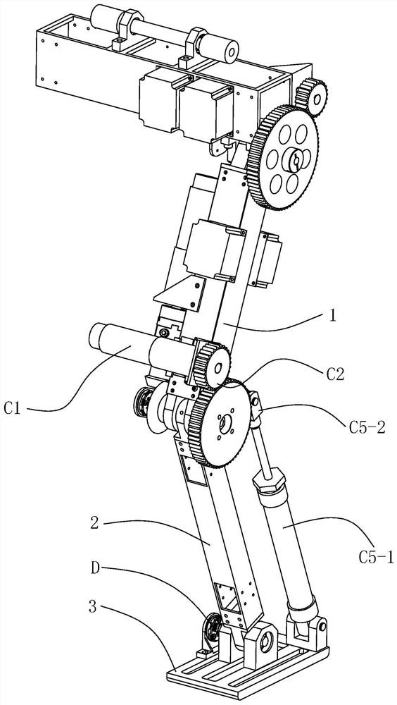 Biped robot with variable-rigidity ankle joints