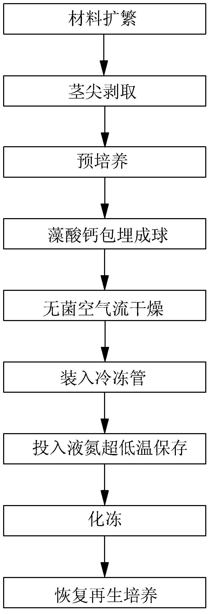 Ultralow-temperature storage and regenerative-culture method for embedding and drying of isolated stem tips of test-tube horseradish plantlets