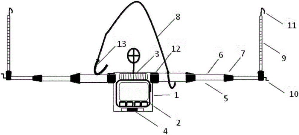 Sag observation rod and observation method thereof