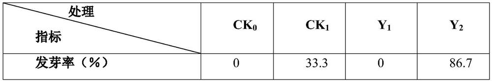 Bio-organic fertilizer for improving soil quality of saline-alkali soil and application thereof