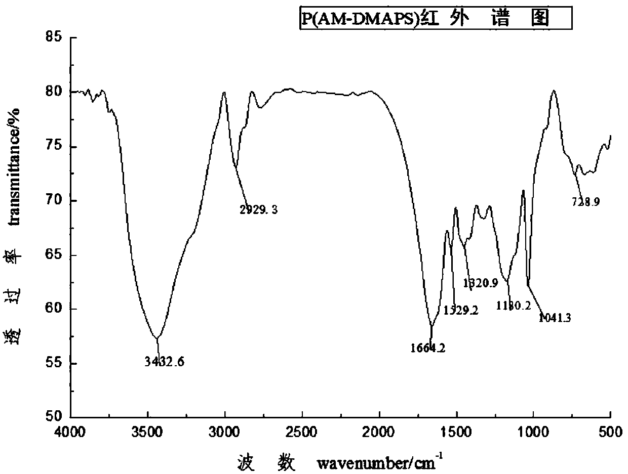 Temperature-sensitive and salt-sensitive copolymer gel and preparation method thereof