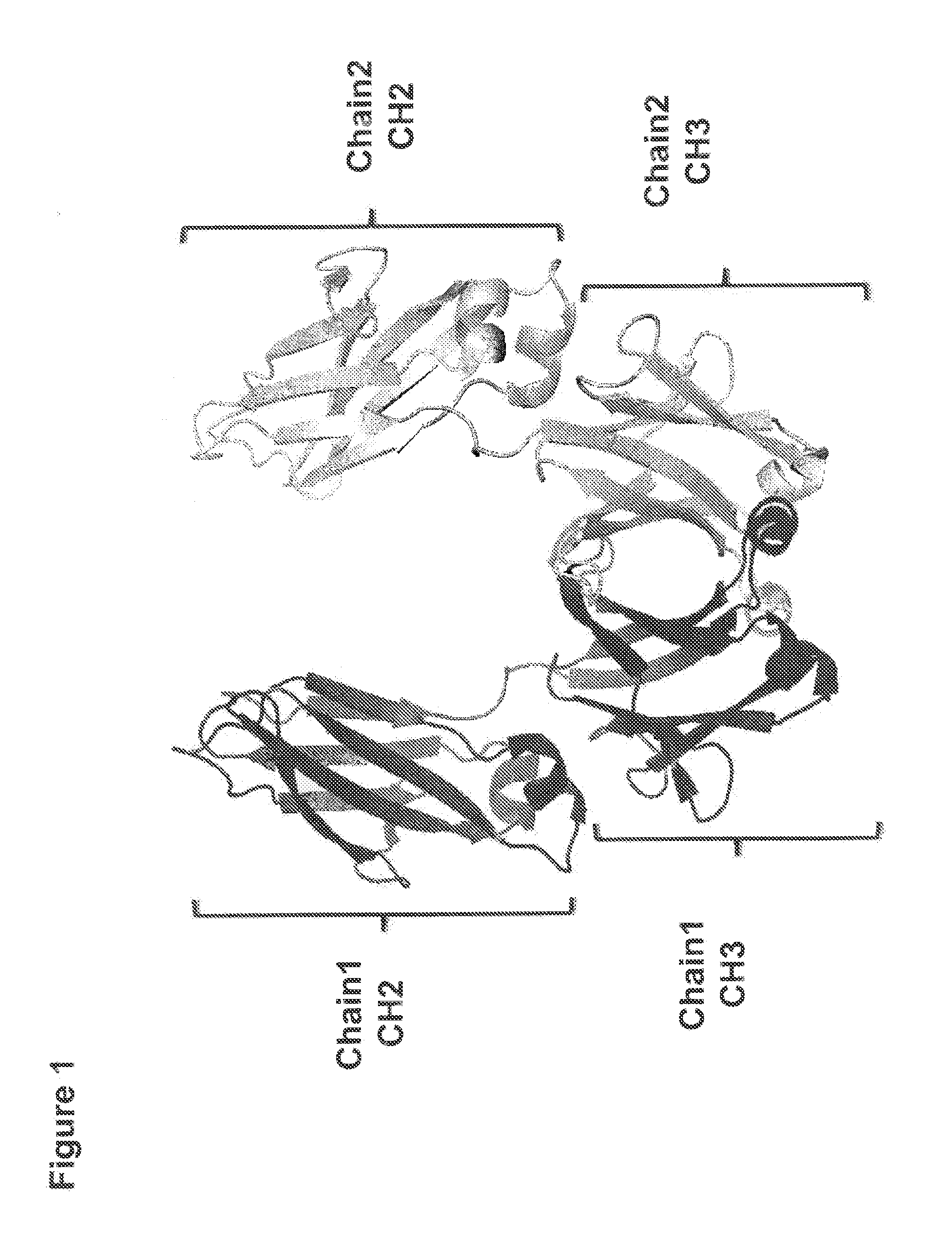 Method for Making Heteromultimeric Molecules