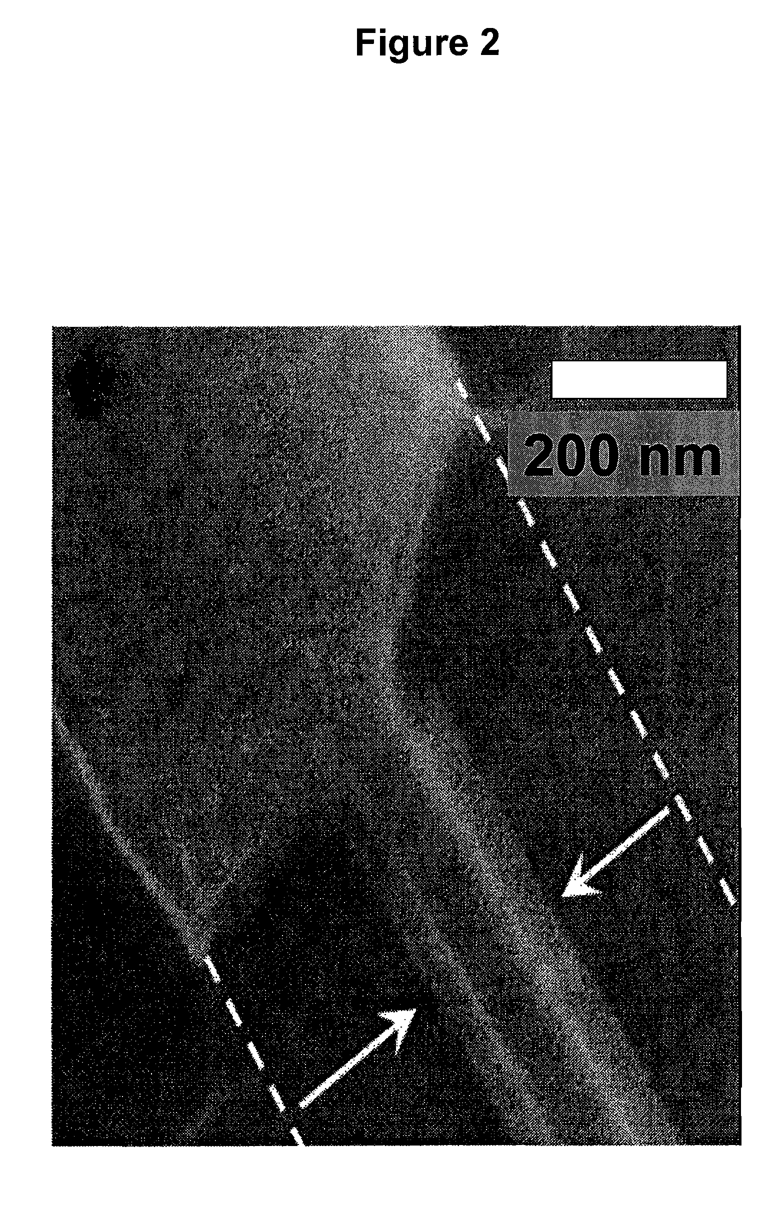 Nanoelectronic-enzyme linked immunosorbent assay system and method