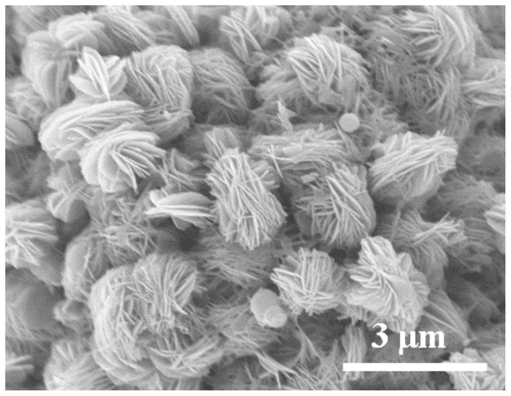 A nanosheet flower-shaped sodium vanadium oxyphosphate electrode material and its preparation method and application