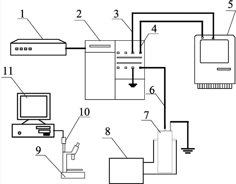 Rapid evaluation system and rapid evaluation method for electrostatic coalescence