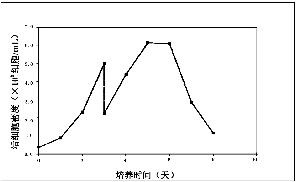 Second-order culture process technique for producing suspended BHK21 cell relevant vaccine