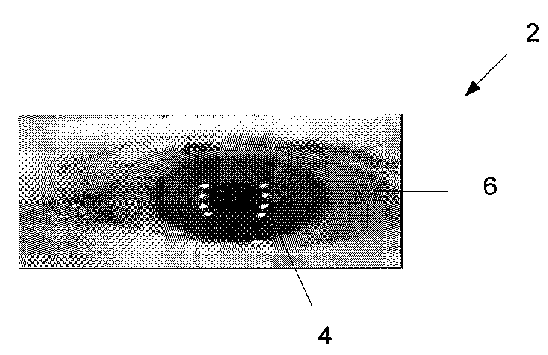 Image sensor with integrated region of interest calculation for iris capture, autofocus, and gain control