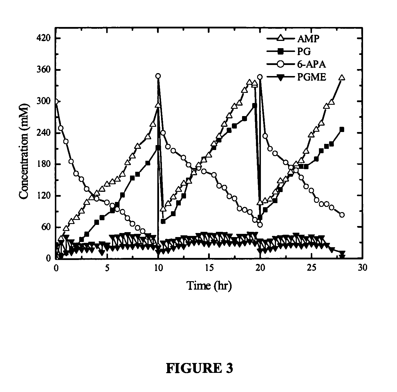 Process for protection of insoluble enzymatic biiocatalysts, biocatalyst obtained thereof and bioreactor with the immobilized biocatalyst