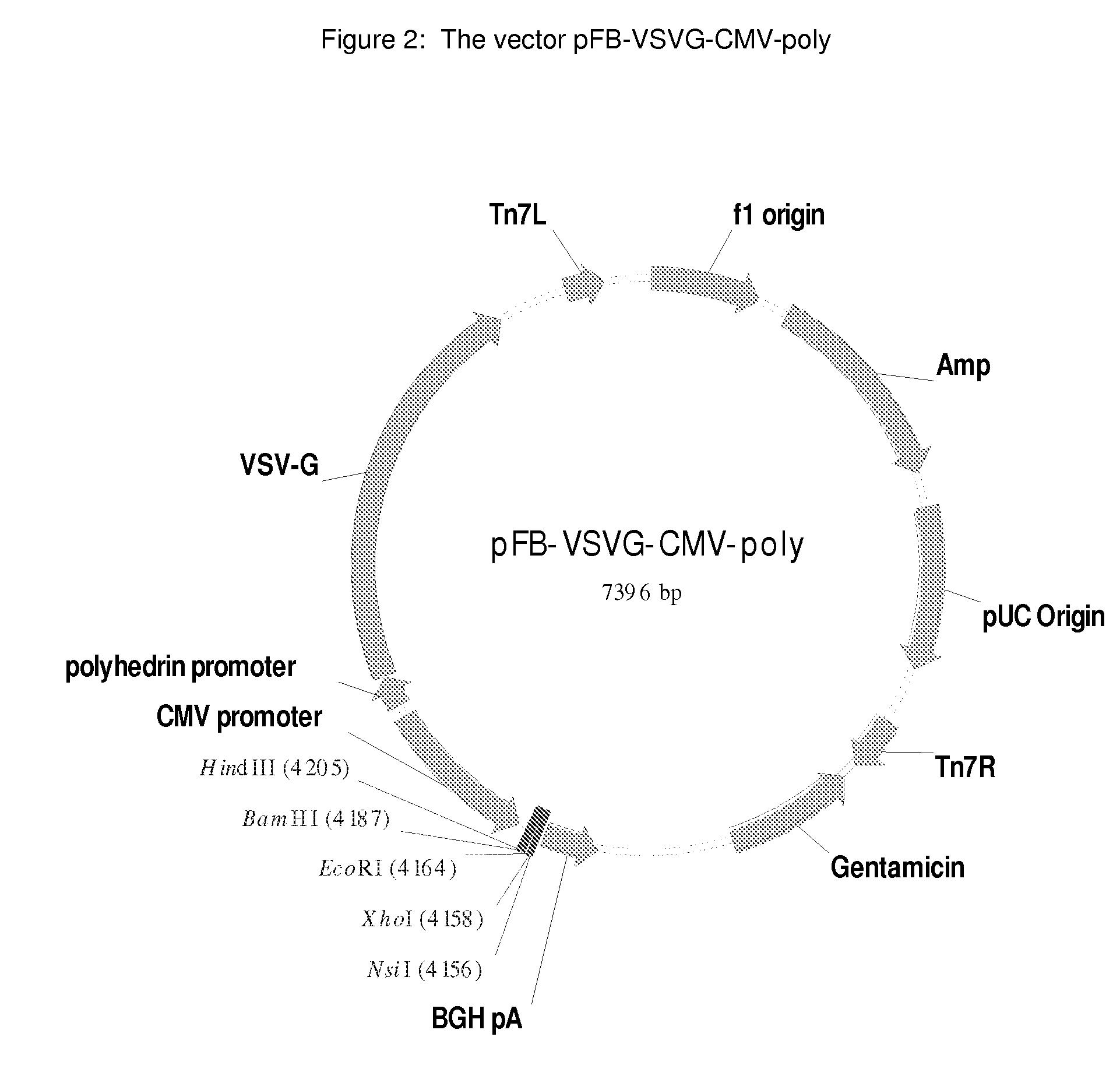 Imidazo-pyrazoles as gpr119 inhibitors