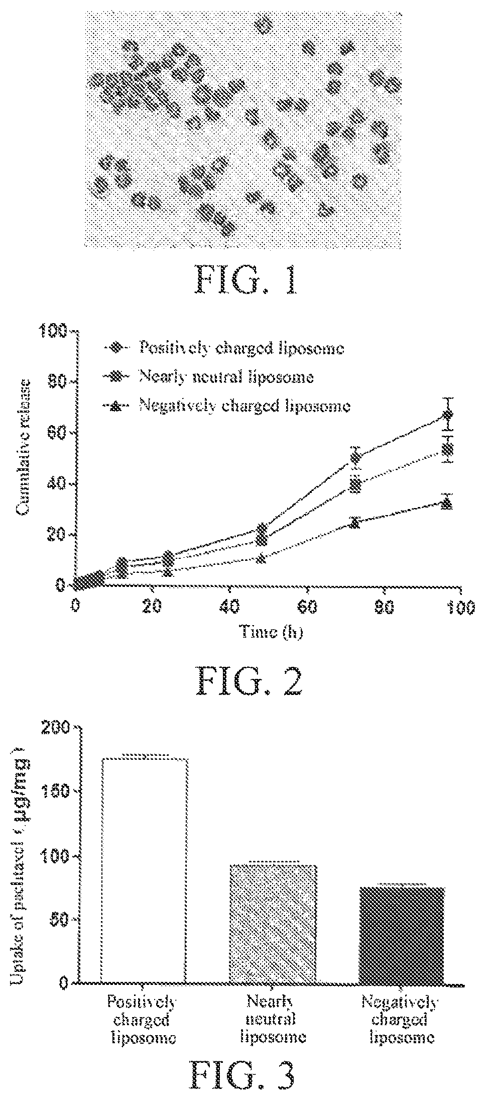 Inflammation-targeted neutrophil granulocyte drug delivery system and use thereof