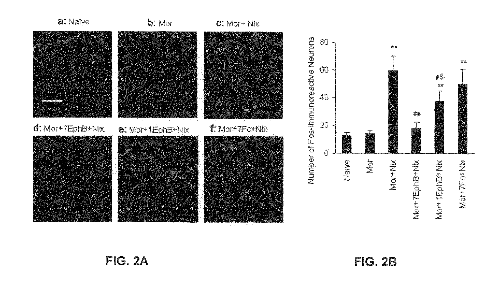 Method for treating withdrawal symptoms due to opiate consumption