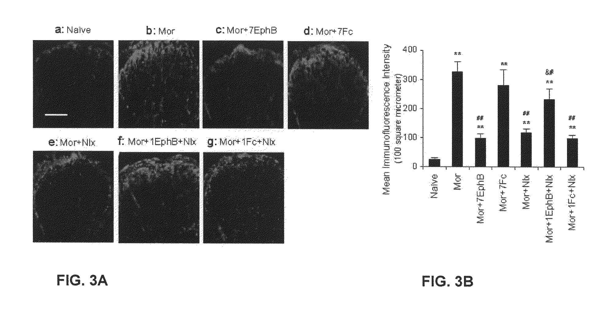 Method for treating withdrawal symptoms due to opiate consumption