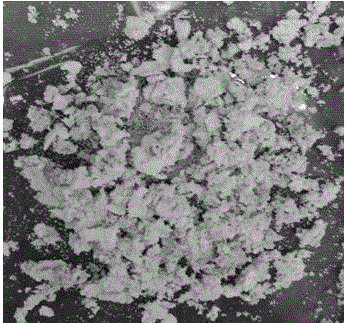 Preparation method of shaddock peel based waste biomass macromolecule adsorbing material