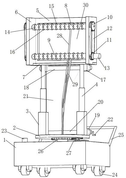 spraying device for fruit trees