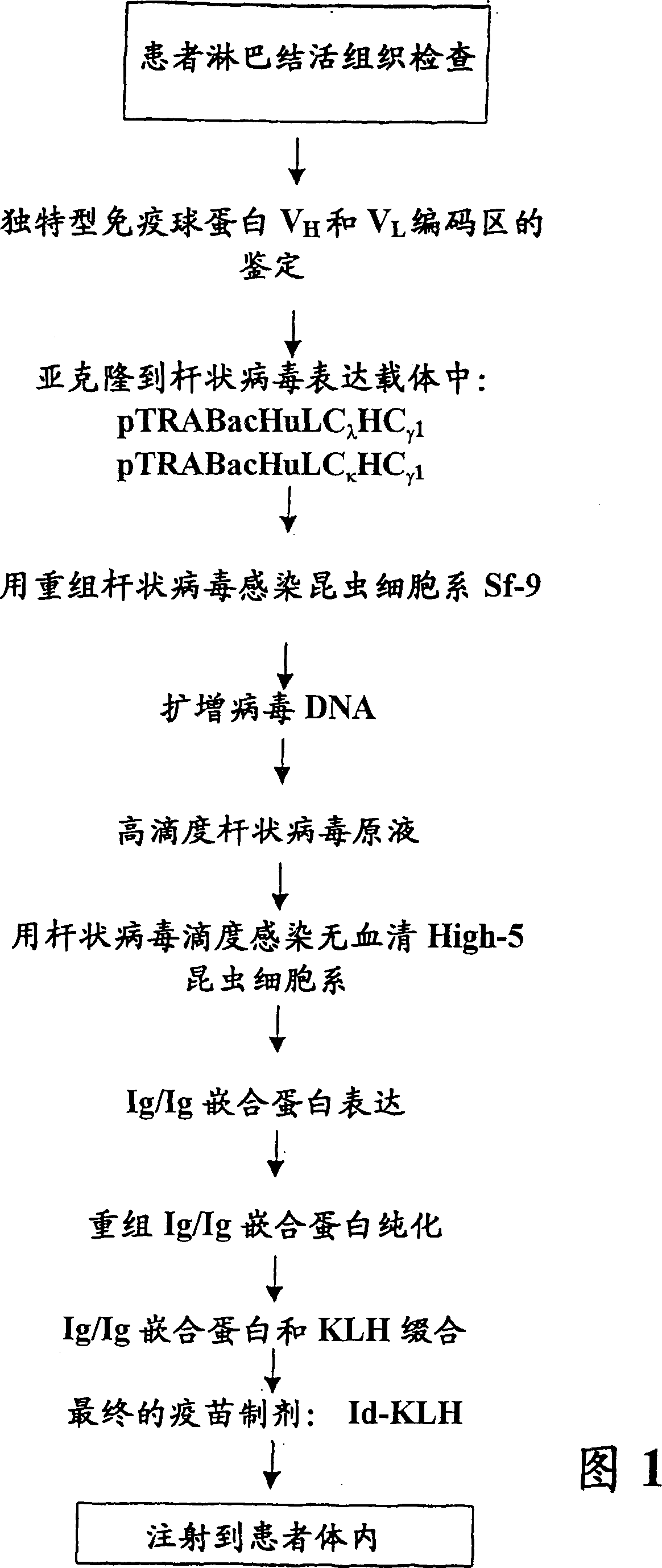 Method and composition for altering a b cell mediated pathology