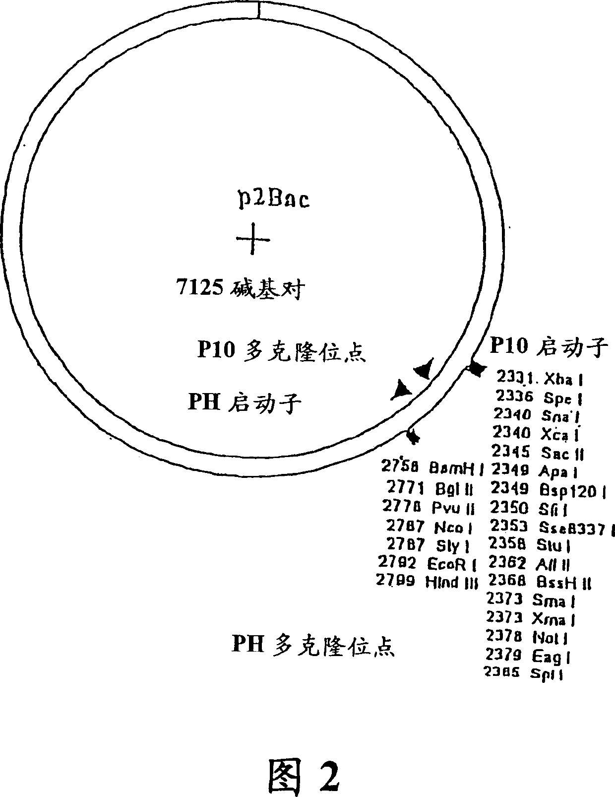 Method and composition for altering a b cell mediated pathology