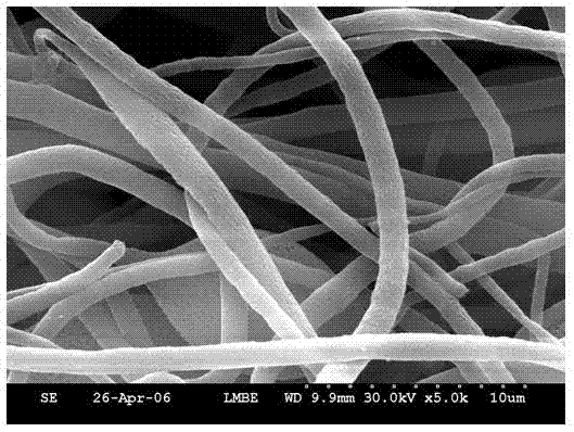 Floating type light self-cleaning microorganism immobilization membrane for removing oil contamination polluting water and preparation method of membrane