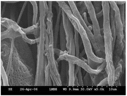 Floating type light self-cleaning microorganism immobilization membrane for removing oil contamination polluting water and preparation method of membrane