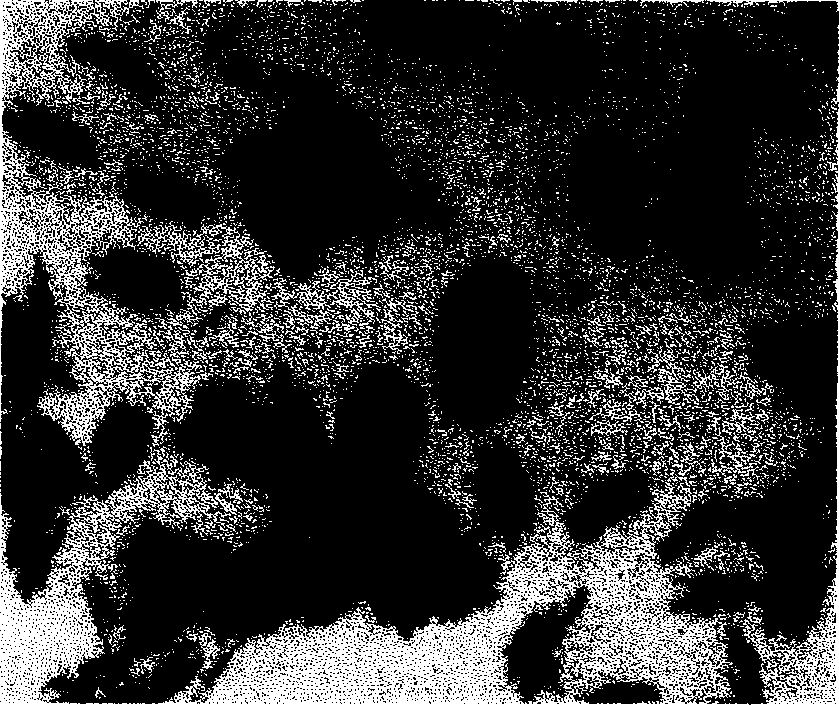 GM-CSF targeted medicine liposome for resisting acute myelogenous leukemia and preparation method thereof