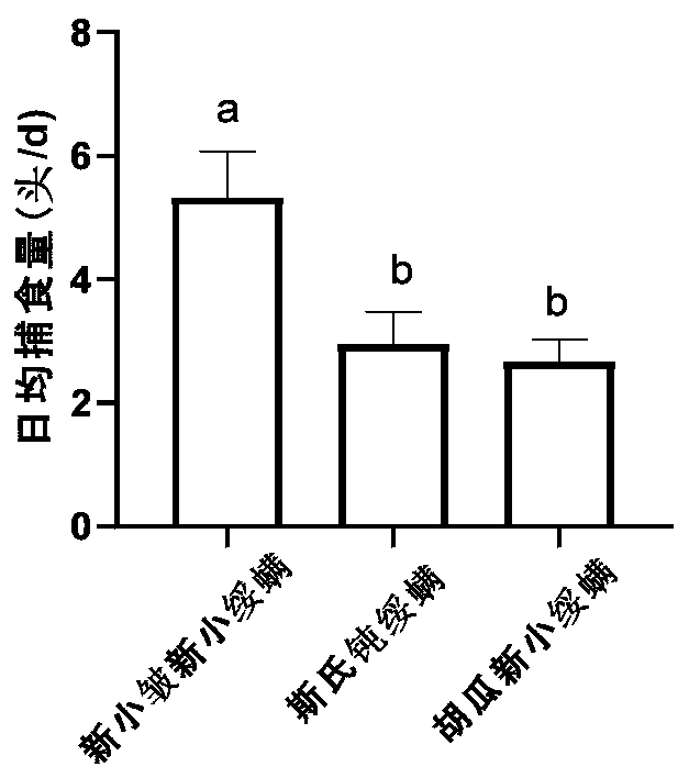 Application of Neoseiulus neoreticuloides Liang et Hu to control of small-sized juice-absorbing pests