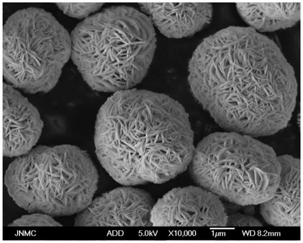 Monocrystal ternary positive electrode material and preparation method thereof