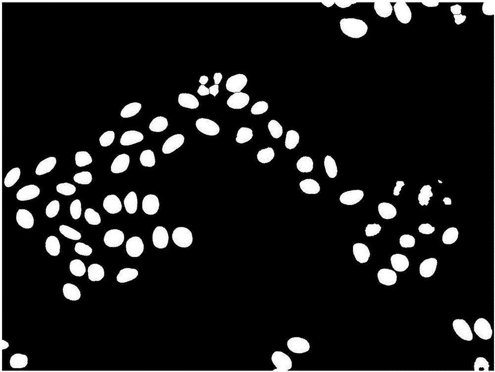 Particle swarm and fuzzy means clustering based cell image segmentation method