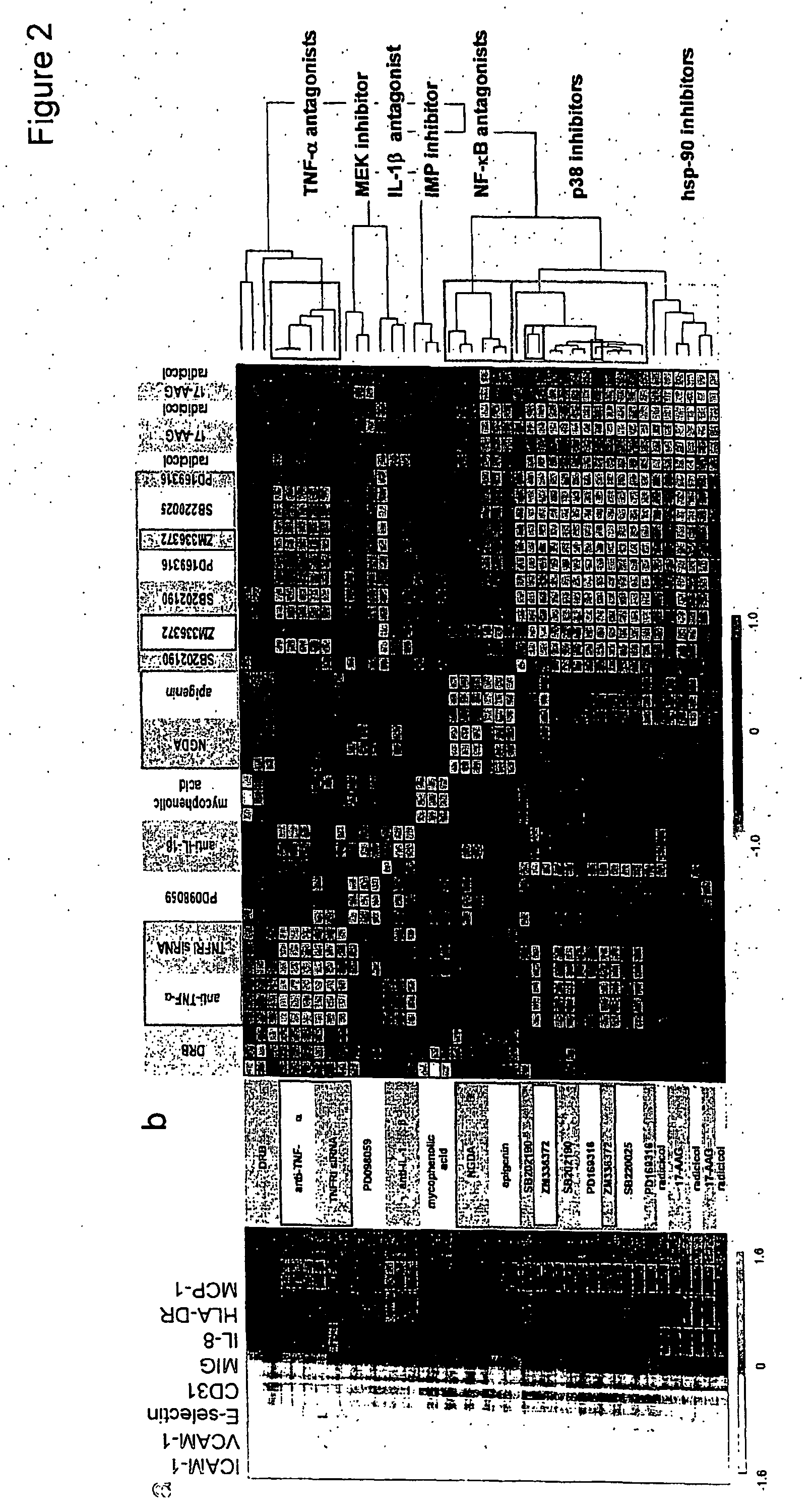 Cell-based assays for determining drug action