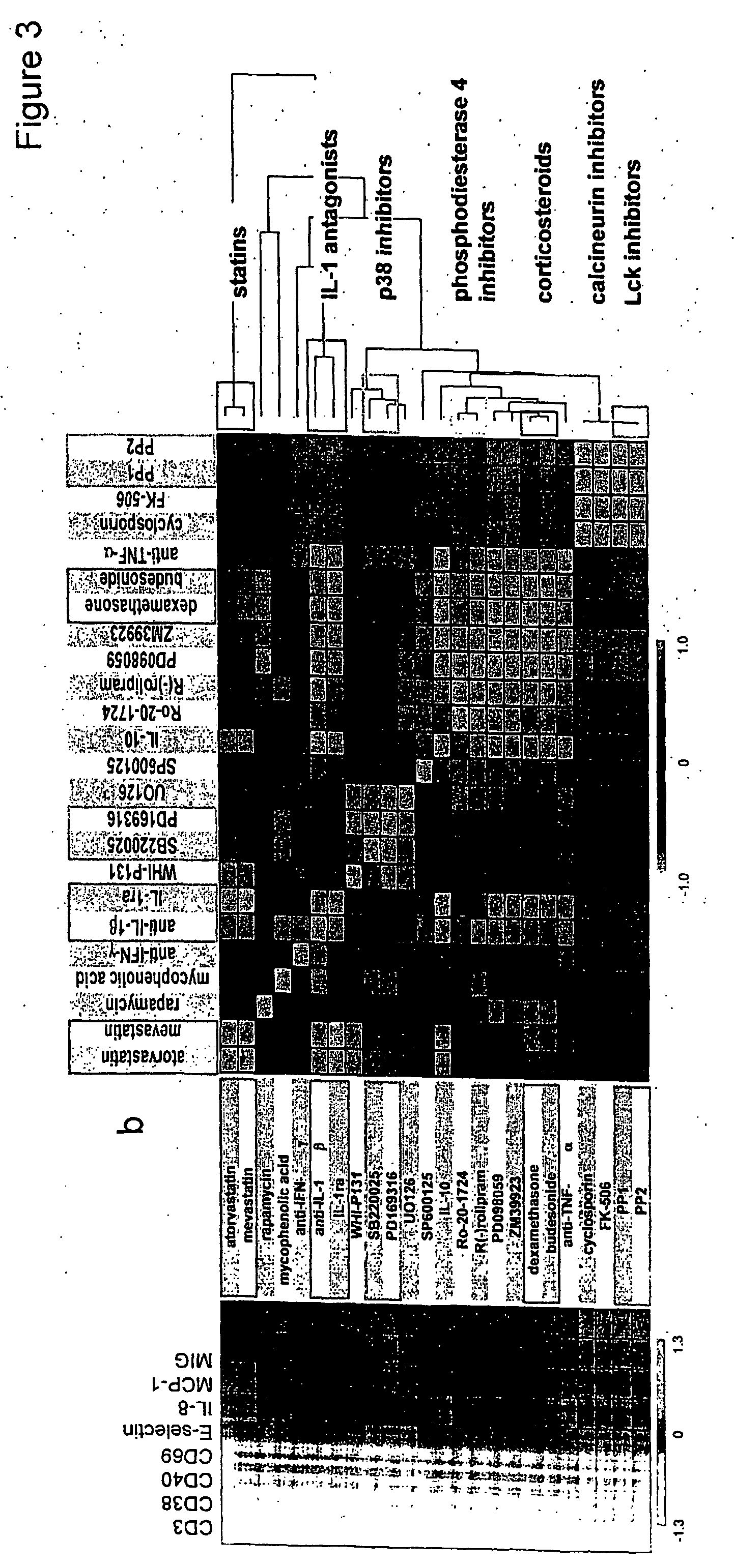 Cell-based assays for determining drug action