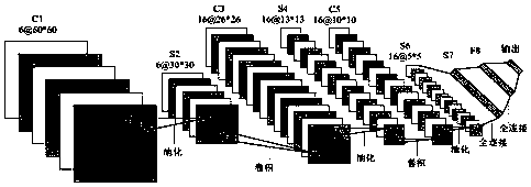 Intelligent sorting system of caterpillar fungus and utilization method of intelligent sorting system