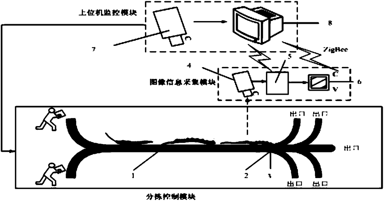 Intelligent sorting system of caterpillar fungus and utilization method of intelligent sorting system