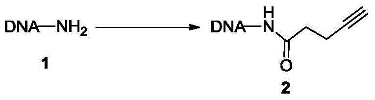 Method for marking and modifying biomacromolecules by one-pot process