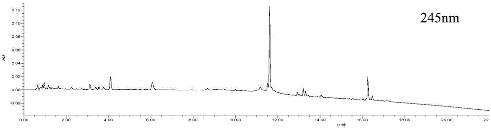 Detection method of fingerprint spectrums of sugar-free strong pipa syrup