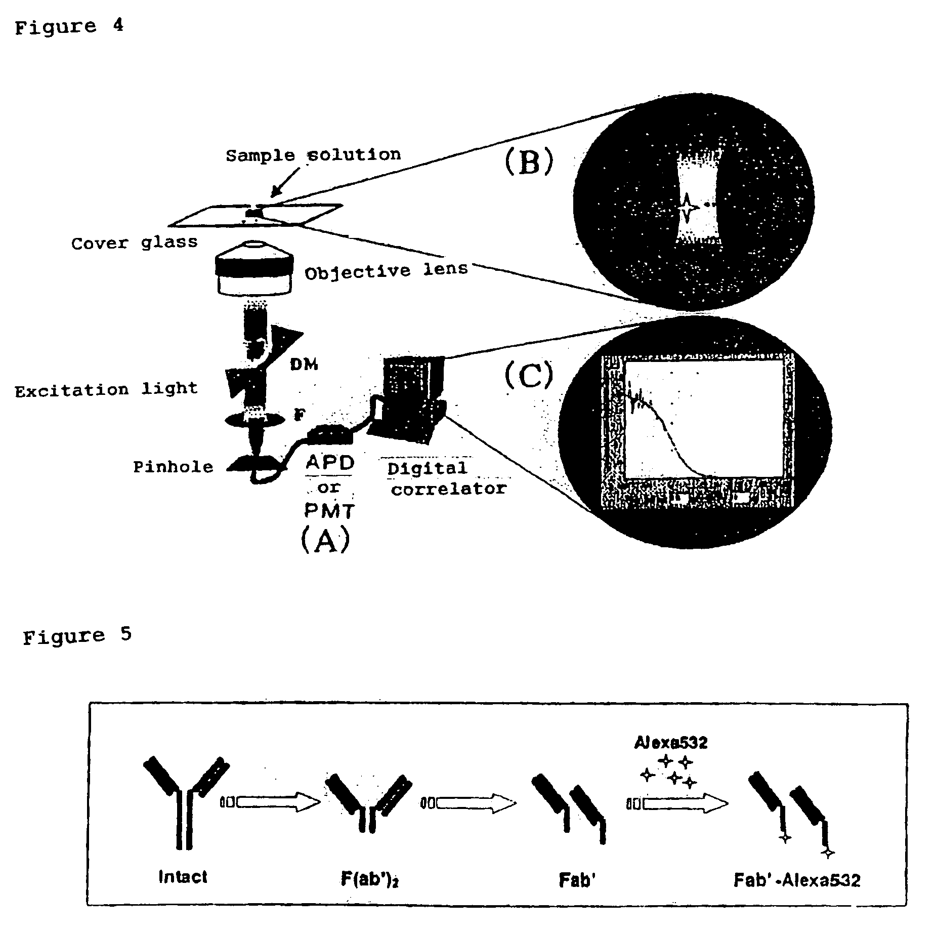 Method of quickly detecting and/or assaying antigen by fluorescence correlation spectrometry