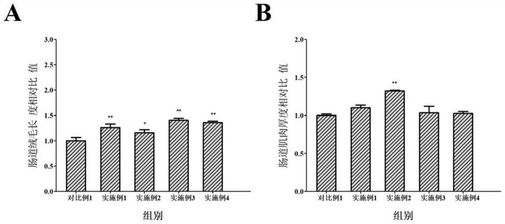 Young grass carp compound feed capable of promoting growth and improving intestinal function and preparation method of young grass carp compound feed