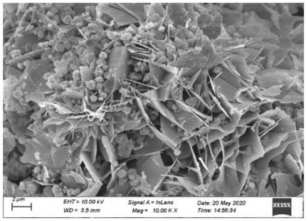 Preparation method of nano bismuth/graphene composite material and application of nano bismuth/graphene composite material in MALDI-MS