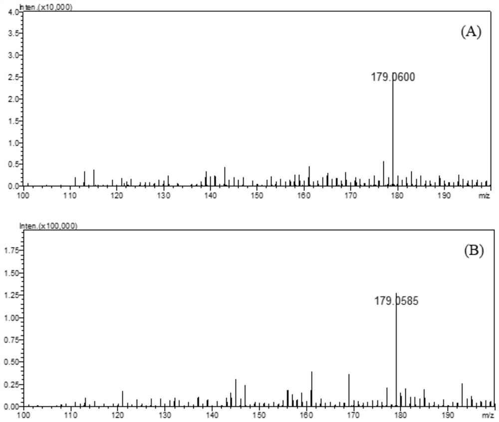 Preparation method of nano bismuth/graphene composite material and application of nano bismuth/graphene composite material in MALDI-MS