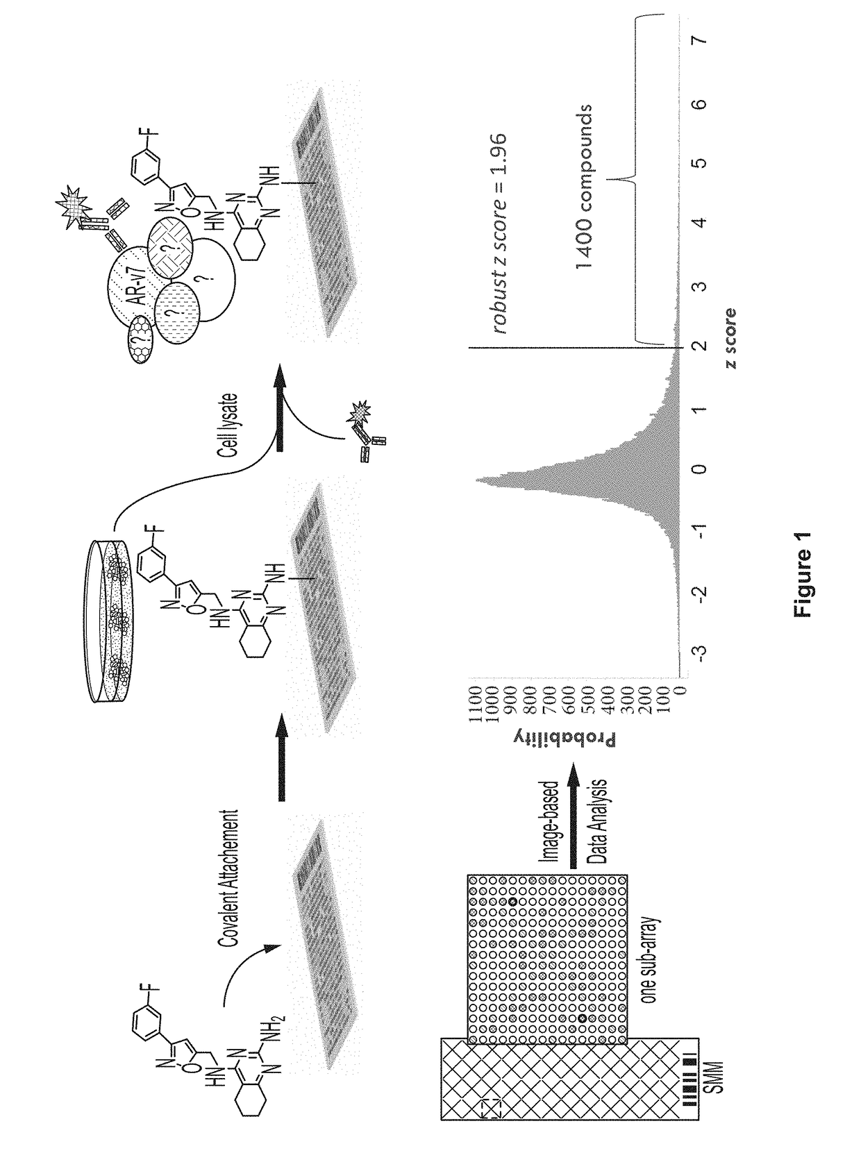 Discovery of small molecules that target the androgen receptor and uses