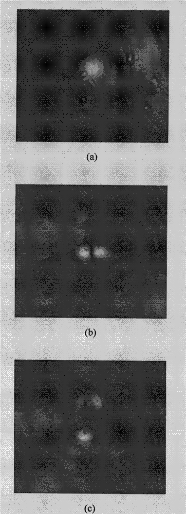 Femtosecond laser direct writing sapphire ring light guide and preparation method thereof