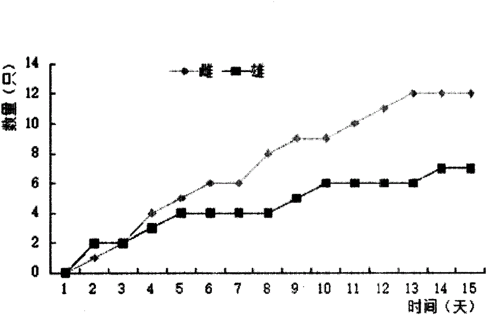 Method for controlling pomacea canaliculata by utilizing medicinal whitmania pigra