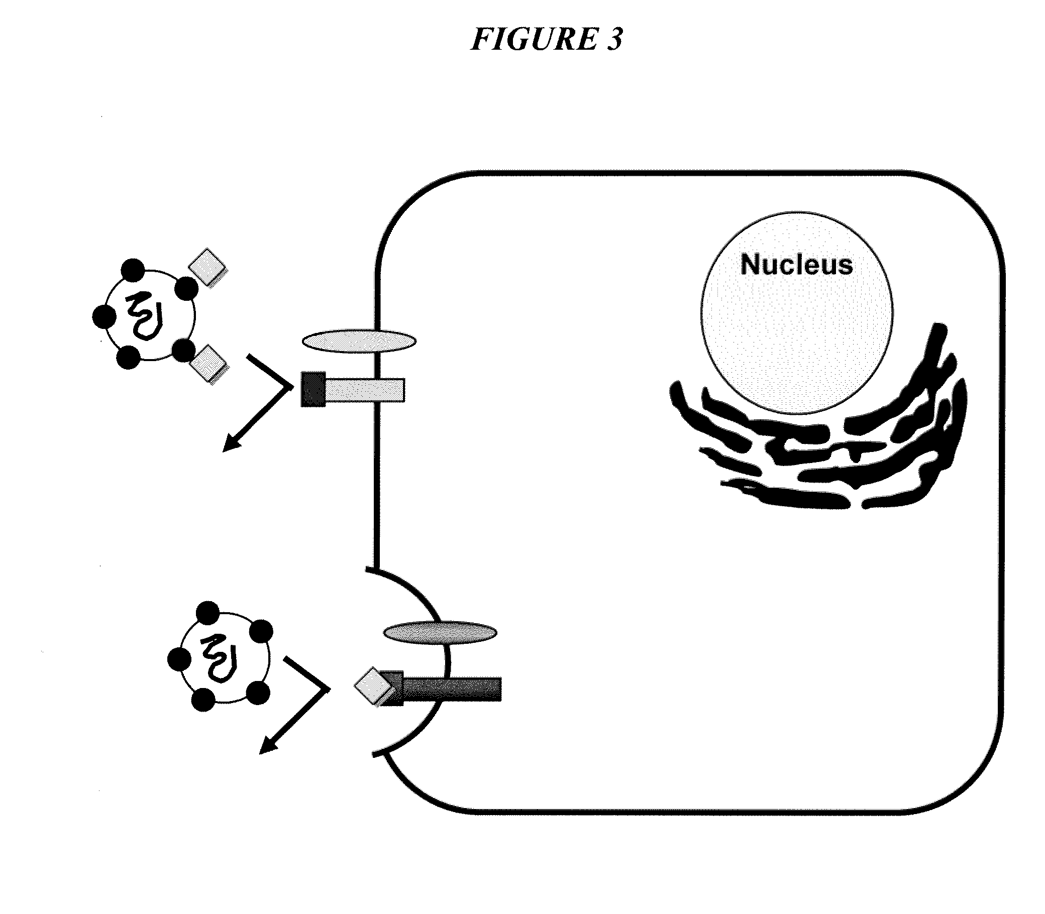 Triazines And Related Compounds Having Antiviral Activity, Compositions And Methods Thereof