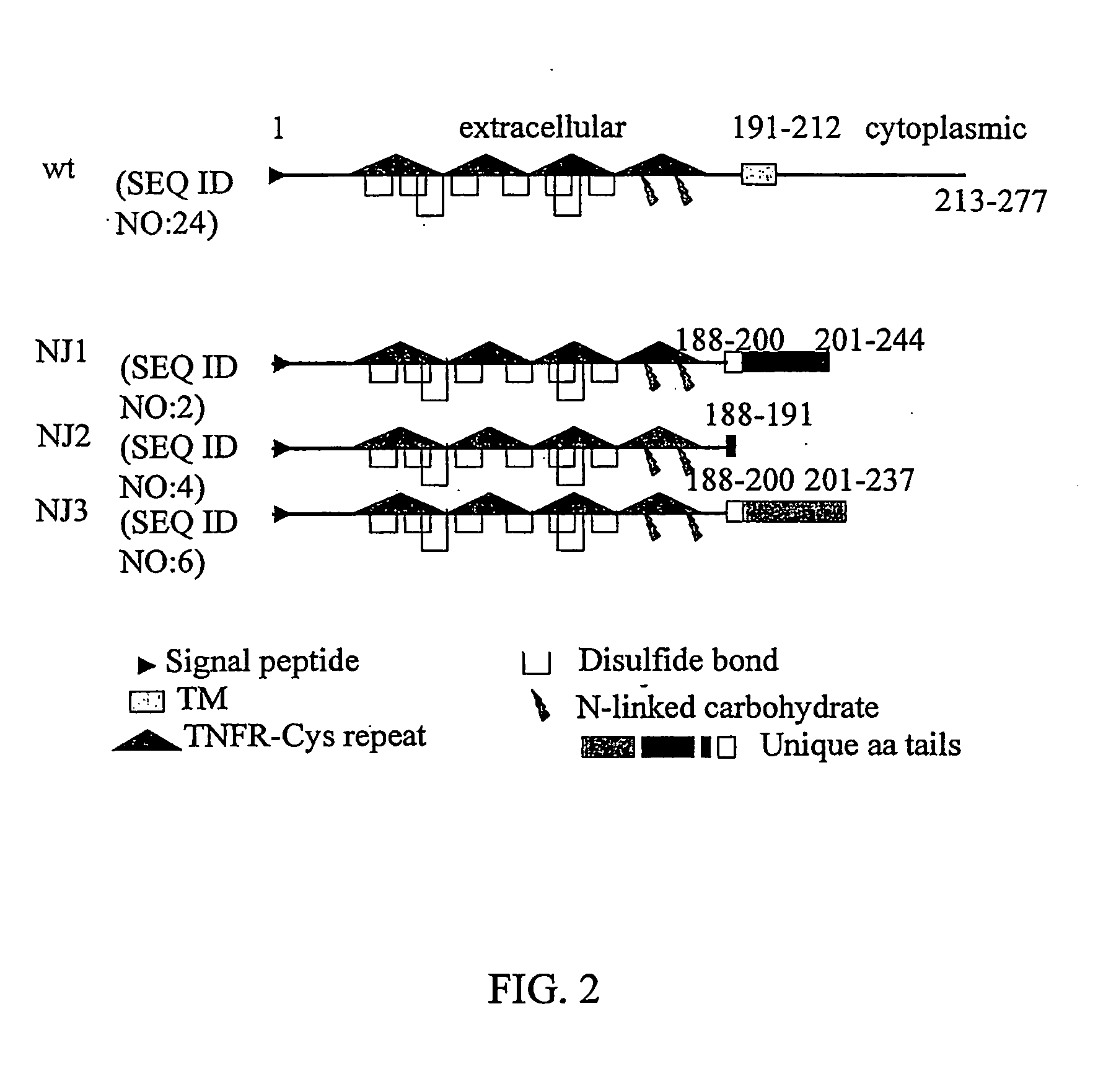 CD40 splice variants, compositions for making and methods of using the same