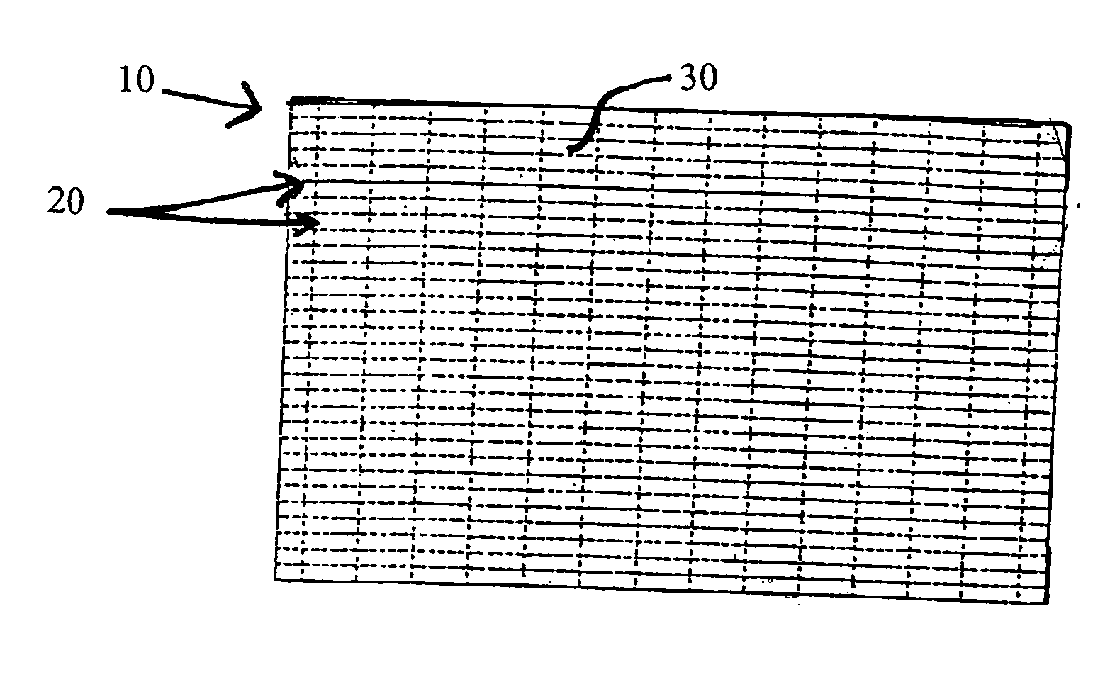 Biodegradable stents