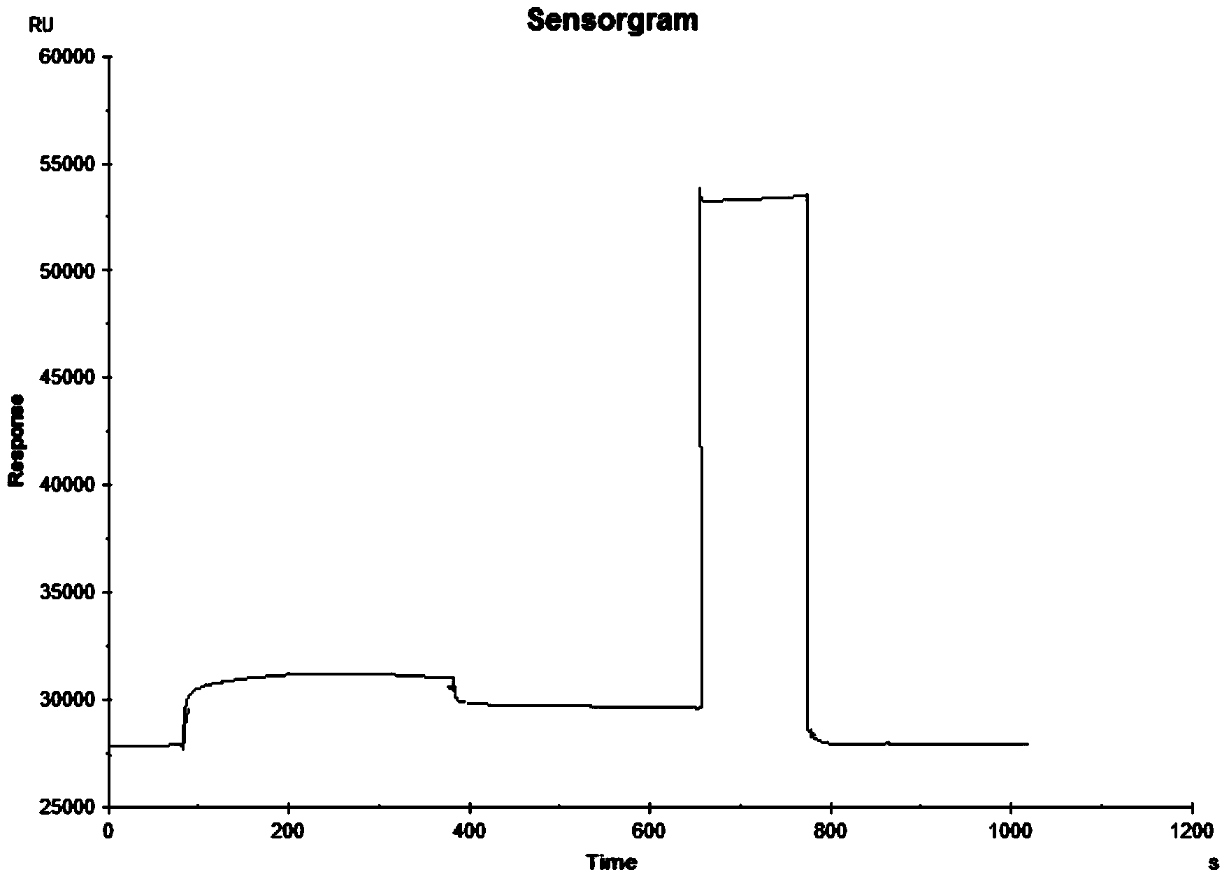 Ractopamine molecularly imprinted SPR (surface plasma resonance) sensor chip as well as preparation method thereof