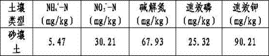 Special slow-release long-acting compound fertilizer for carrot and application method for same