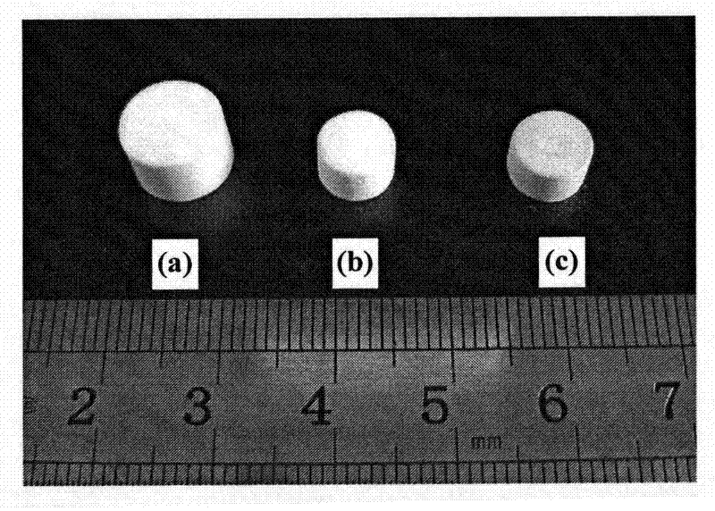 Mesoporous-macroporous integral catalyst for purifying CO in hydrogen-rich gas and preparation